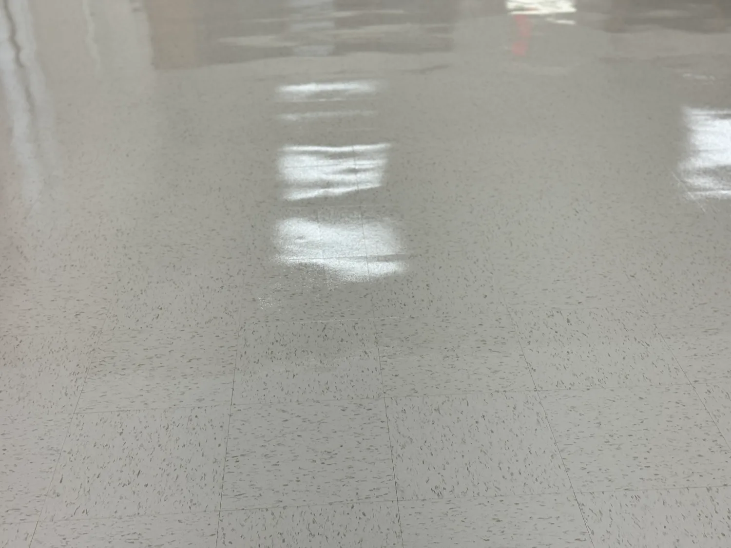 basement · high-gloss polish